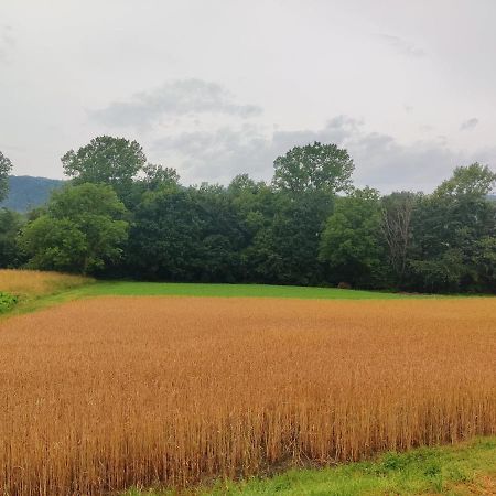 Agriturismo Munarin Caterina Mioglia Dış mekan fotoğraf