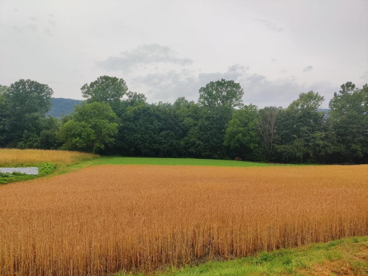 Agriturismo Munarin Caterina Mioglia Dış mekan fotoğraf